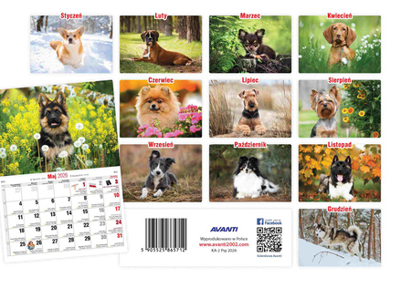 Kalendarz 2026 Psy KA-2