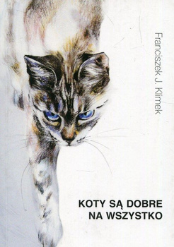 Koty są dobre na wszystko