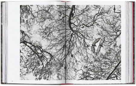 Sebastião Salgado. Genesis wer. angielska