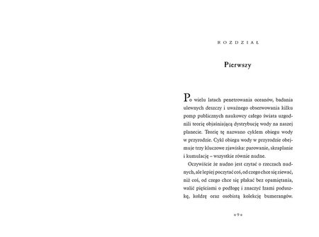 Groźna grota. Seria niefortunnych zdarzeń. Tom 11