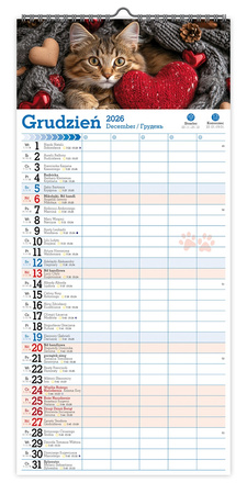 Kalendarz 2026 ścienny paskowy szeroki Koty Kotki Koteczki KPS V6