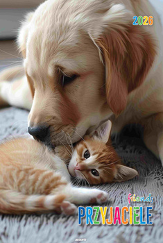Kalendarz 2026 Przyjaciele KSM-7