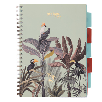 Kołozeszyt Strigo A4 Project Book Afryka pastelowo zielony kratka
