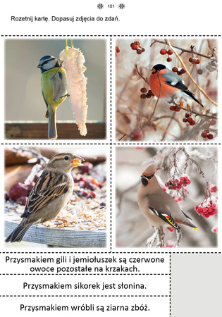 Mój rok część 2 Karty pracy dla uczniów z niepełnosprawnością intelektualną