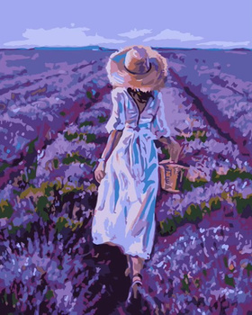 Malowanie po numerach Pole lawendy 40x50 cm