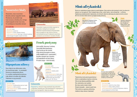 Zwierzęta. Moja pierwsza encyklopedia