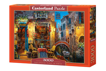 Puzzle 3000 Nasze specjalne miejsce w Wenecji C-300426-2