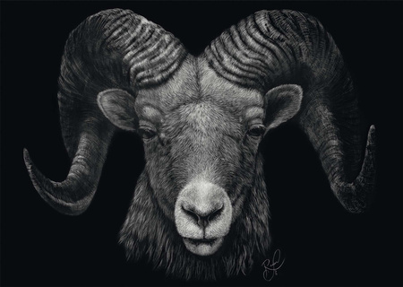 Puzzle PQ 1000 Ashley Rader Baran 112946