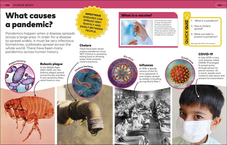 Why? Encyclopedia. Brilliant Answers to Baffling Questions wer. angielska