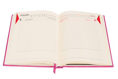 Kalendarz 2026 Colorfix A5 DNS różowy