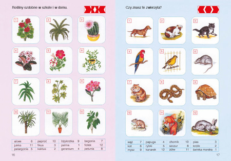 PUS To już potrafię 2 Ćwiczenia utrwalająco sprawdzające dla dzieci w klasach I-II