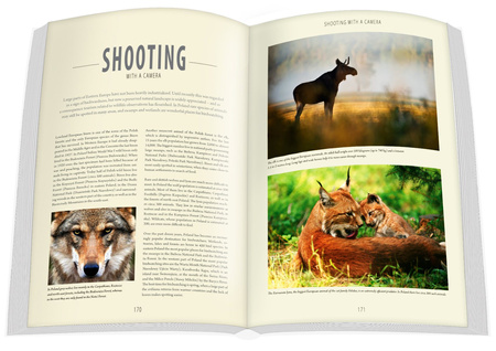 Poland 1000 lat w sercu Europy album 2025