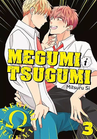 Megumi i Tsugumi. Tom 3