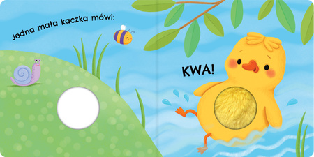 Urocze kaczuszki. Naciśnij brzuszek