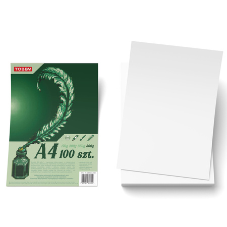 Papier brystol A4 100 ark.300g