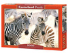 Puzzle 1000 Young Zebras C-105021-2
