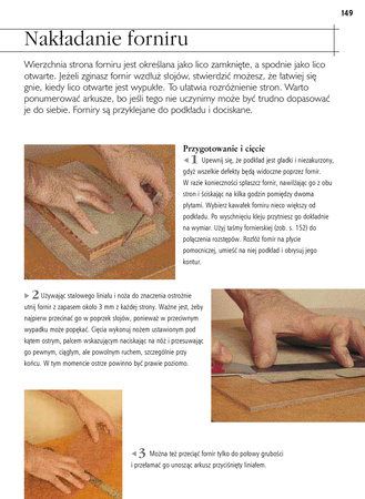 Stolarstwo. materiały, narzędzia, techniki, projekty