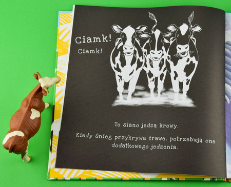 Na farmie. Podświetl i Odkryj