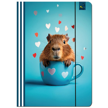 Paczka Teczka A4 z gumką Kapibara morska 5 sztuk