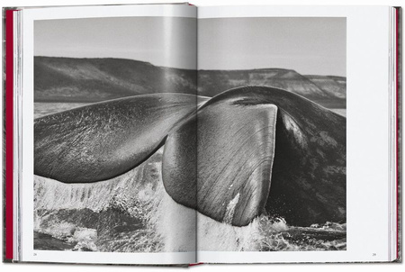 Sebastião Salgado. Genesis wer. angielska