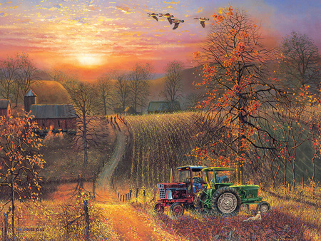 Puzzle 275 XL Jesienne słońce 113627