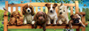 Puzzle 1000 Szczenięta na ławce panorama 110487