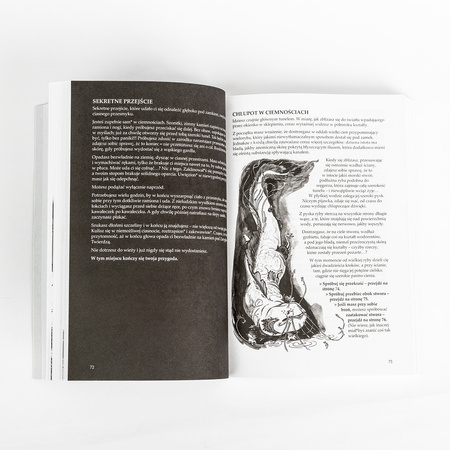 W mroku wieży. Gra książkowa