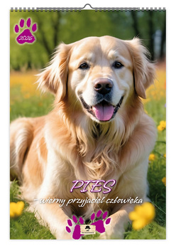 Kalendarz 2026 ścienny Pies przyjaciel człowieka A3 VD12