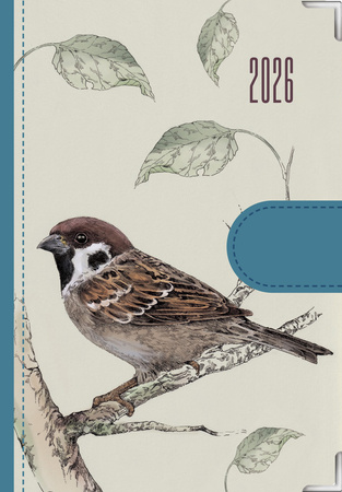 Kalendarz 2026 dzienny Natura Ptaki