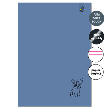 Zeszyt A4 32 kartki w 3 linie kolor 90g Buldog denim