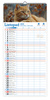 Kalendarz 2026 ścienny paskowy szeroki Koty Kotki Koteczki KPS V6