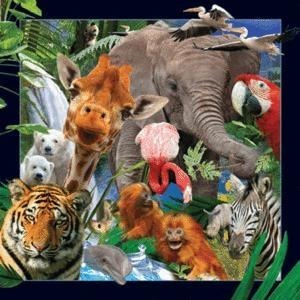 Magnes 3D Dzikie zwierzęta