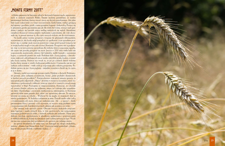 Kuchnia Słowian, czyli o poszukiwaniu dawnych smaków wyd. 2023