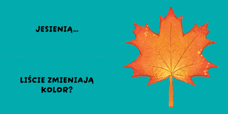 Pory roku. Czy to pasuje?