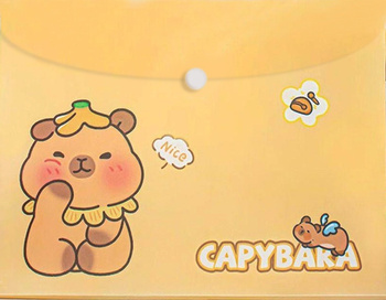 Teczka A4 kopertowa na zatrzask Kapibara