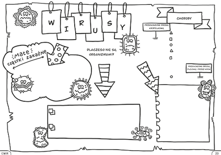Biologia Graficzne karty pracy dla klasy 5