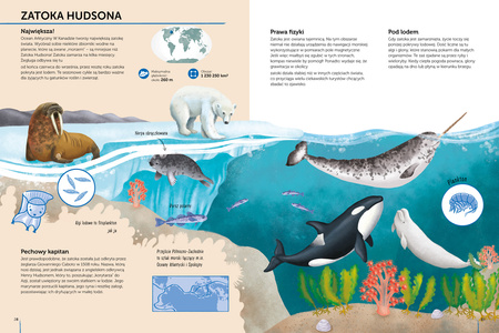 Tajemnice mórz i oceanów. Atlas bioróżnorodności