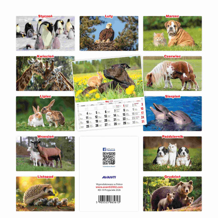 Kalendarz 2026 Przyjaciele KD-19