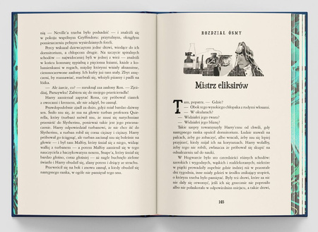 Harry Potter i Kamień Filozoficzny. Harry Potter (ilustrowane brzegi) edycja limitowana