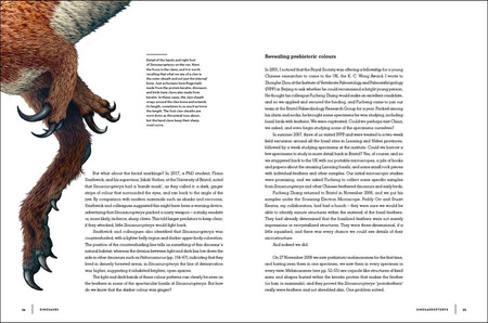 Dinosaurs wer. angielska