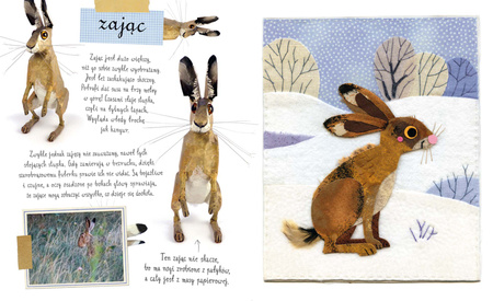 Mały atlas zwierzaków Ewy i Pawła Pawlaków wyd. 2025