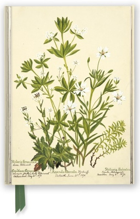 Notatnik A5 linia TW Kwiaty RBGE Charlotte Cowan Pearson FTNB312