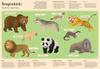 Moje własne zoo. Odkrywamy tajemniczy świat zwierząt