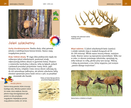 Wielki przewodnik po świecie przyrody. Zwierzęta i rośliny