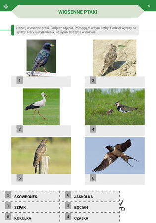 Przyszła wiosna Karty pracy dla I etapu nauczania uczniów z niepełnosprawnością intelektualną w stopniu umiarkowanym