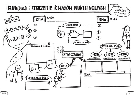 Biologia Graficzne karty pracy dla liceum i technikum Poziom podstawowy Zestaw 1