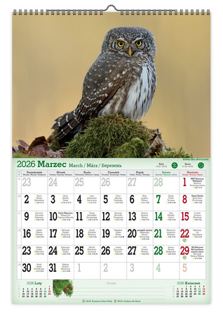 Kalendarz 2026 ścienny Mieszkańcy Puszczy A3 VD11