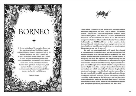 Dark Fairy Tales: Weird, Wicked Stories from Around the World