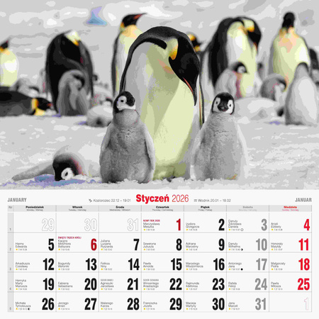 Kalendarz 2026 Przyjaciele KD-19