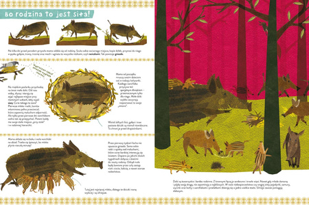 Dzika książka o dzikach i o ich kuzynach